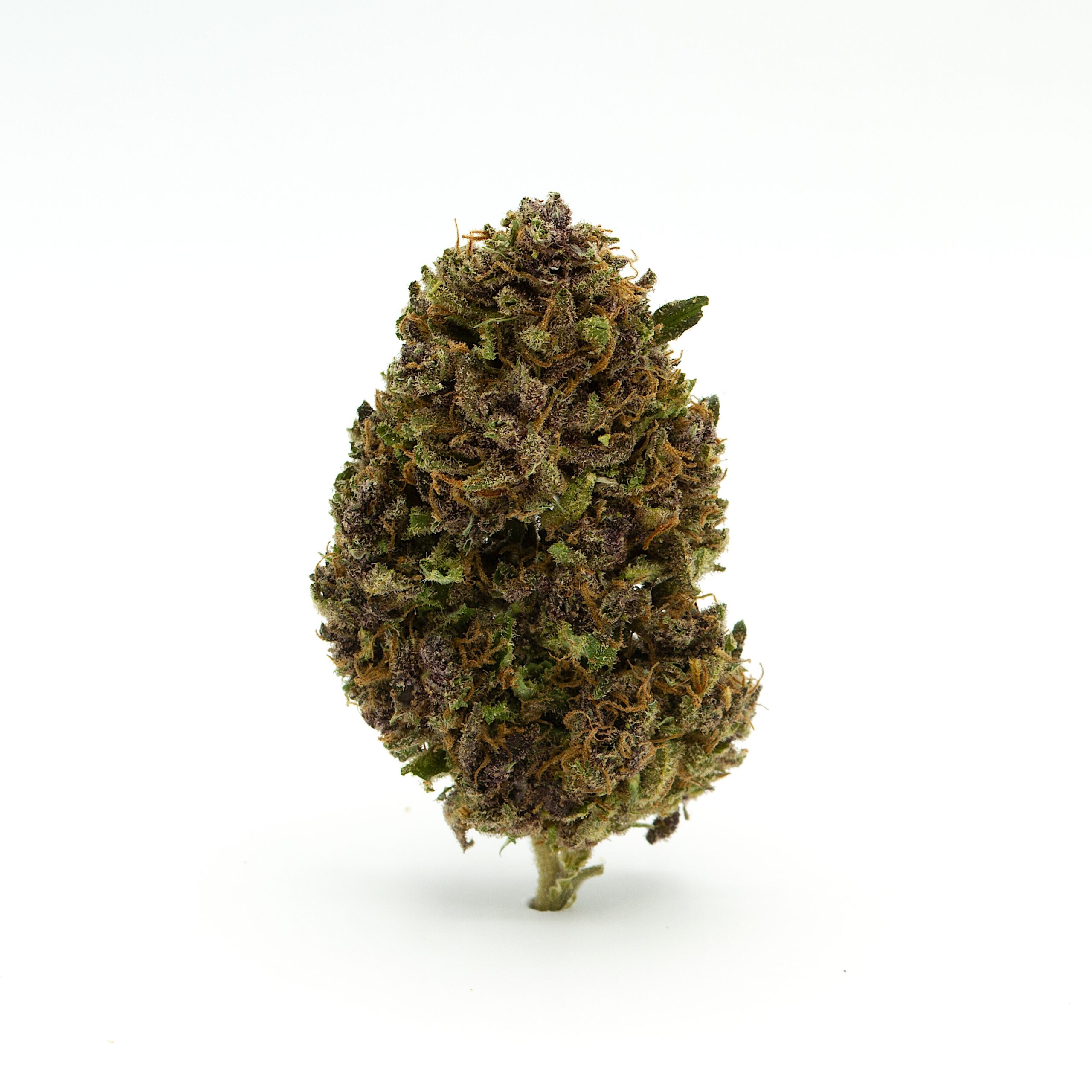 Picky Seeds