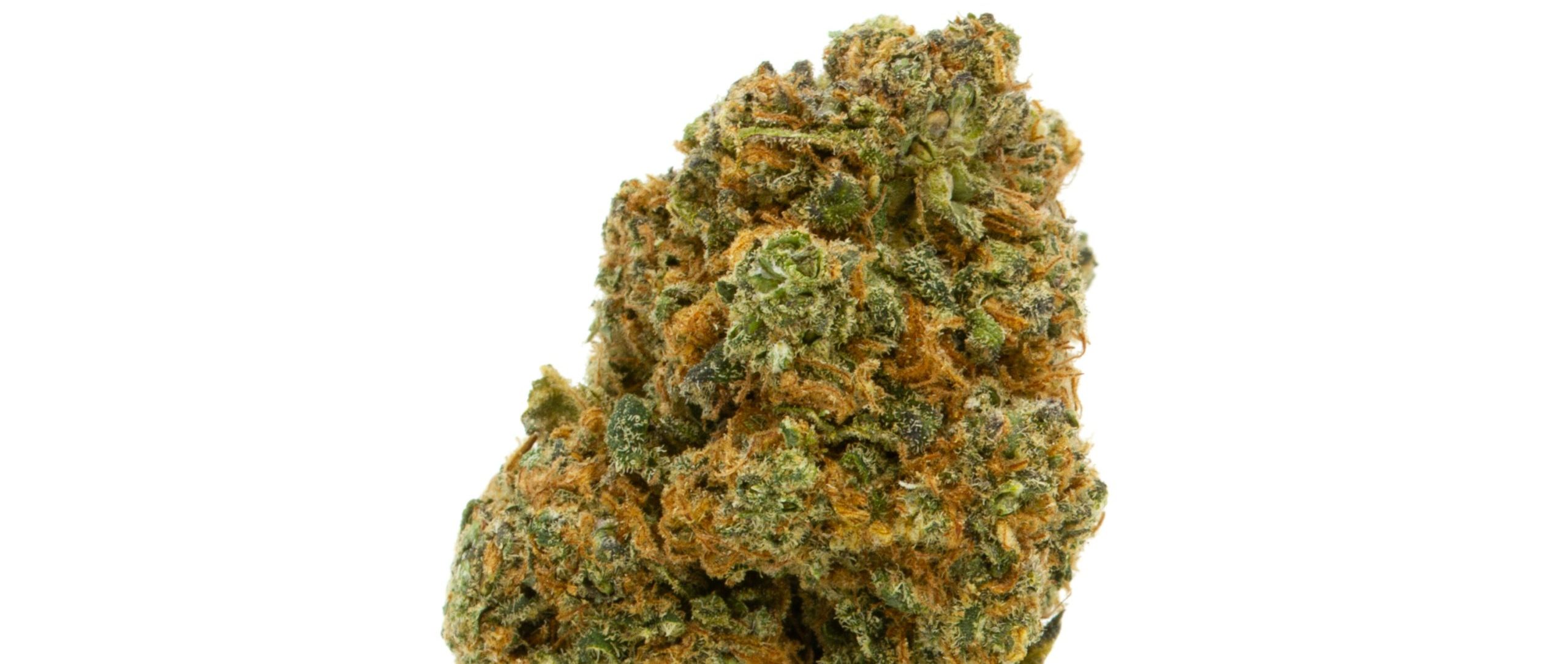 Comment sélectionner une fleur de CBD ?