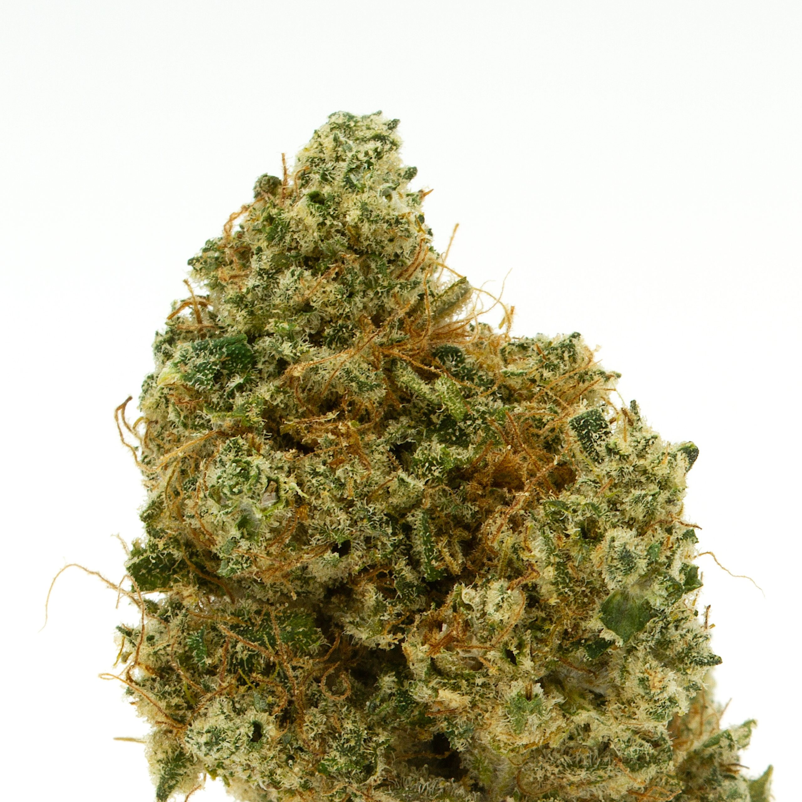 Picky Seeds
