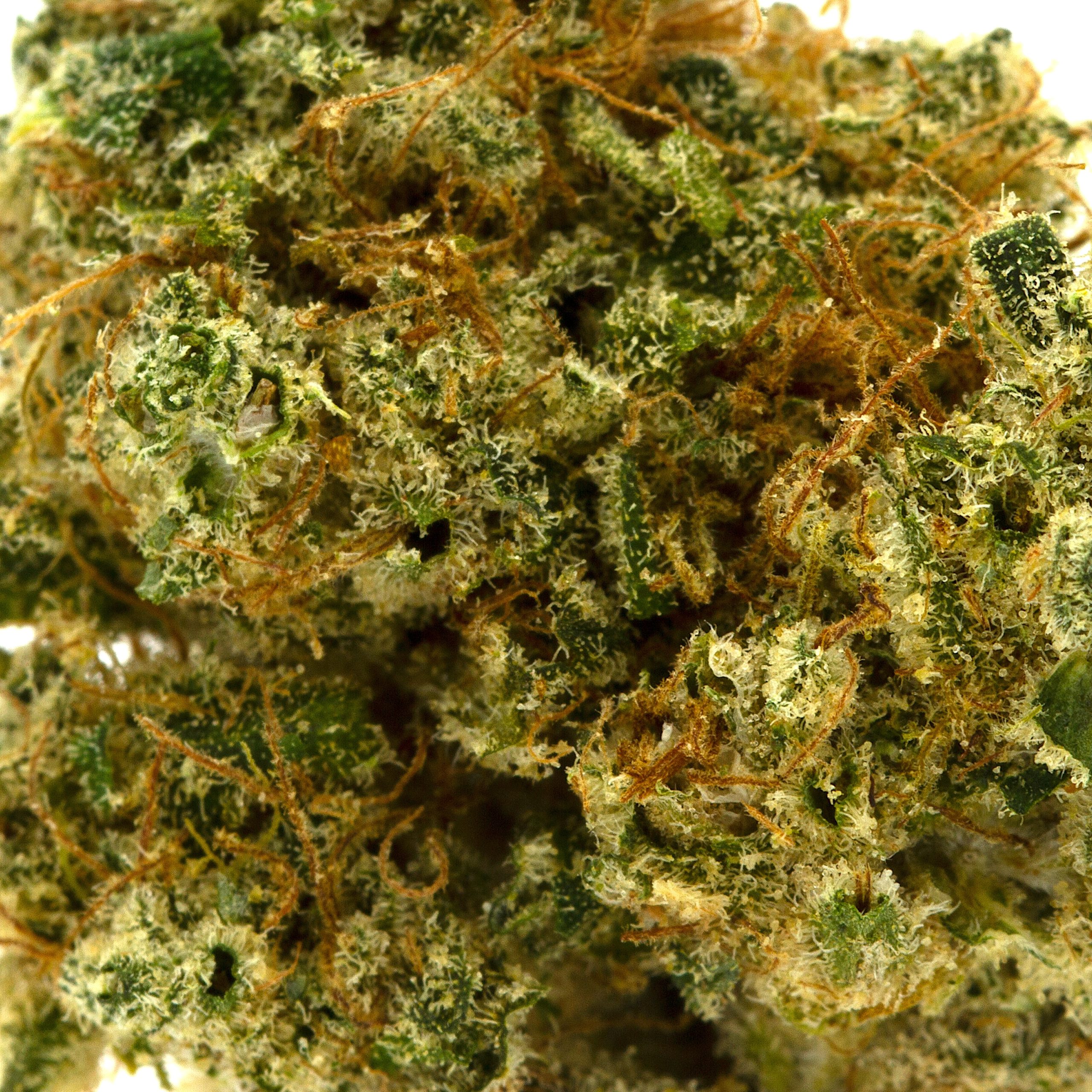 Picky Seeds