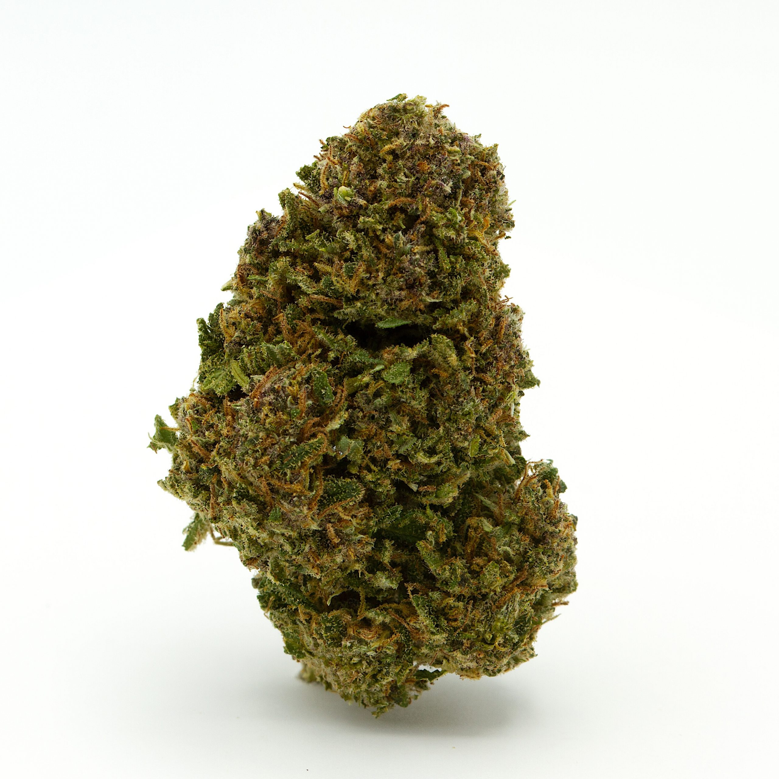 Picky Seeds