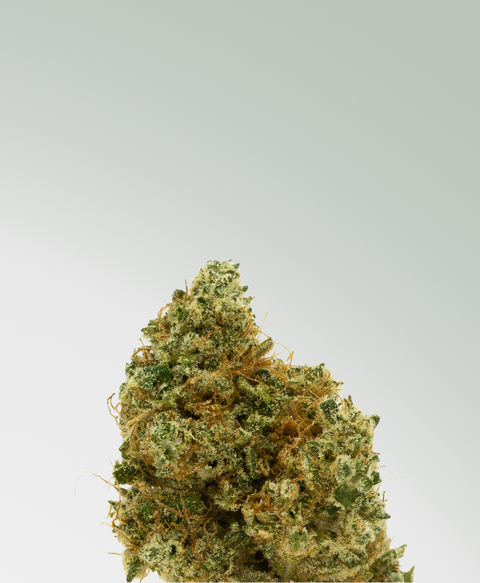 Picky Seeds