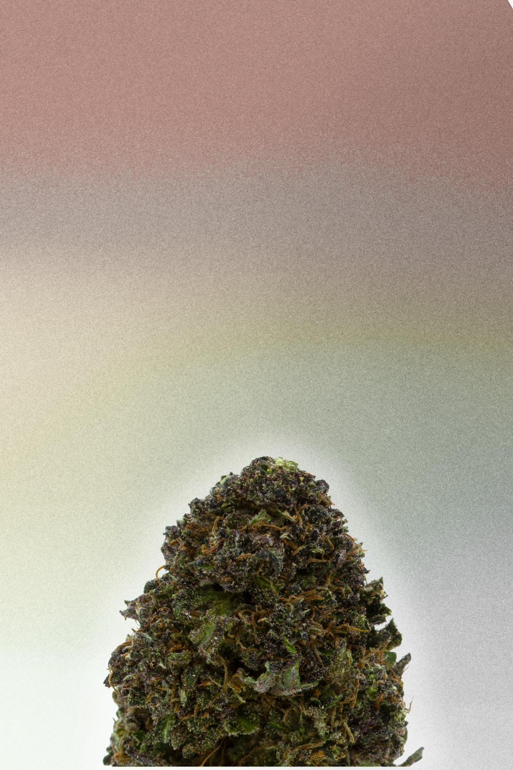 Picky Seeds