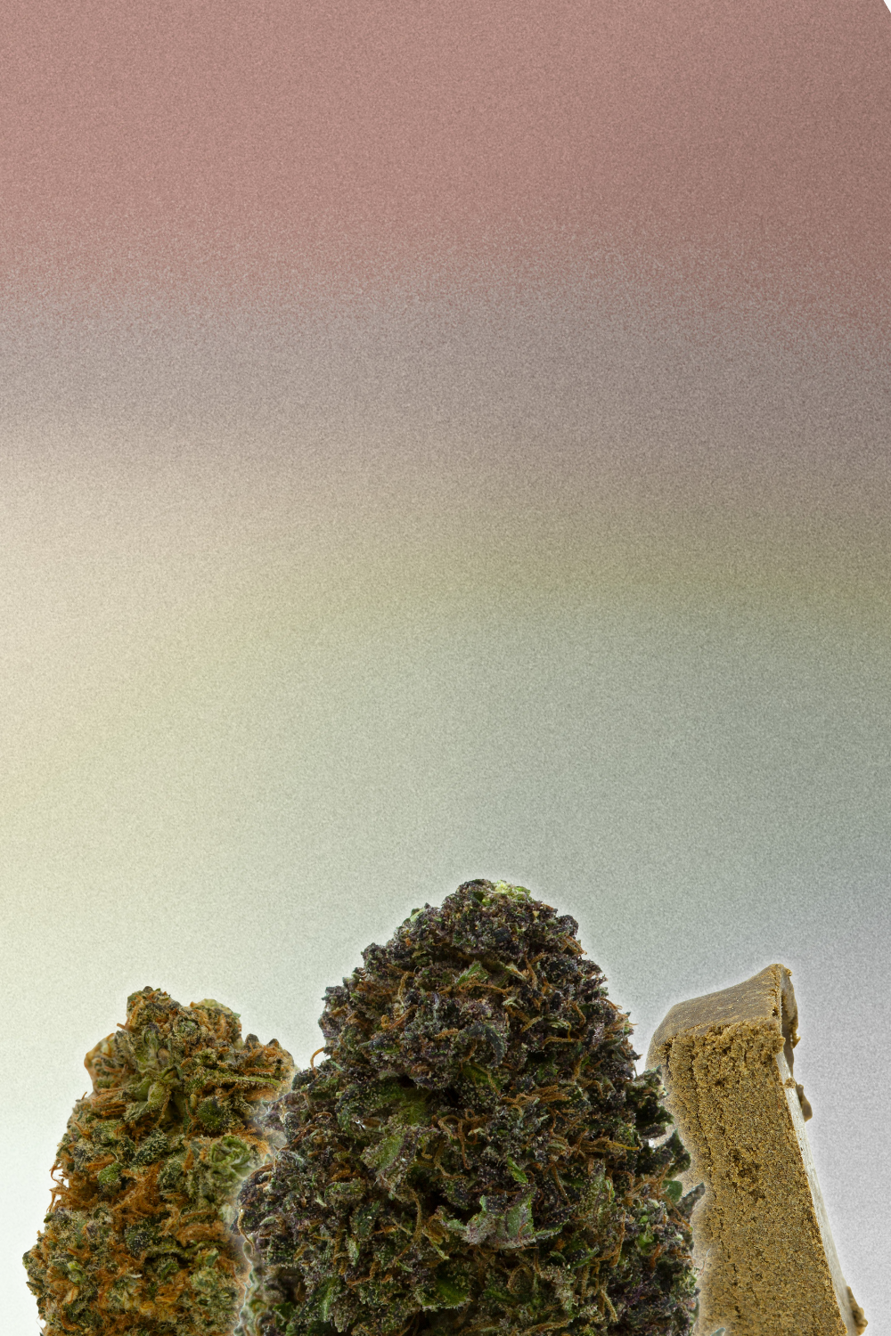 Picky Seeds