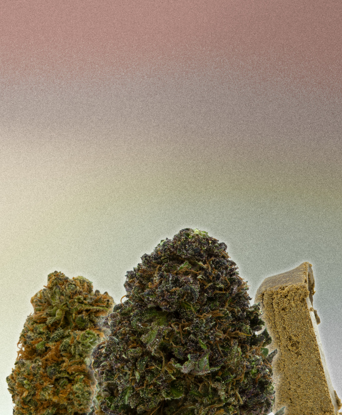 Picky Seeds
