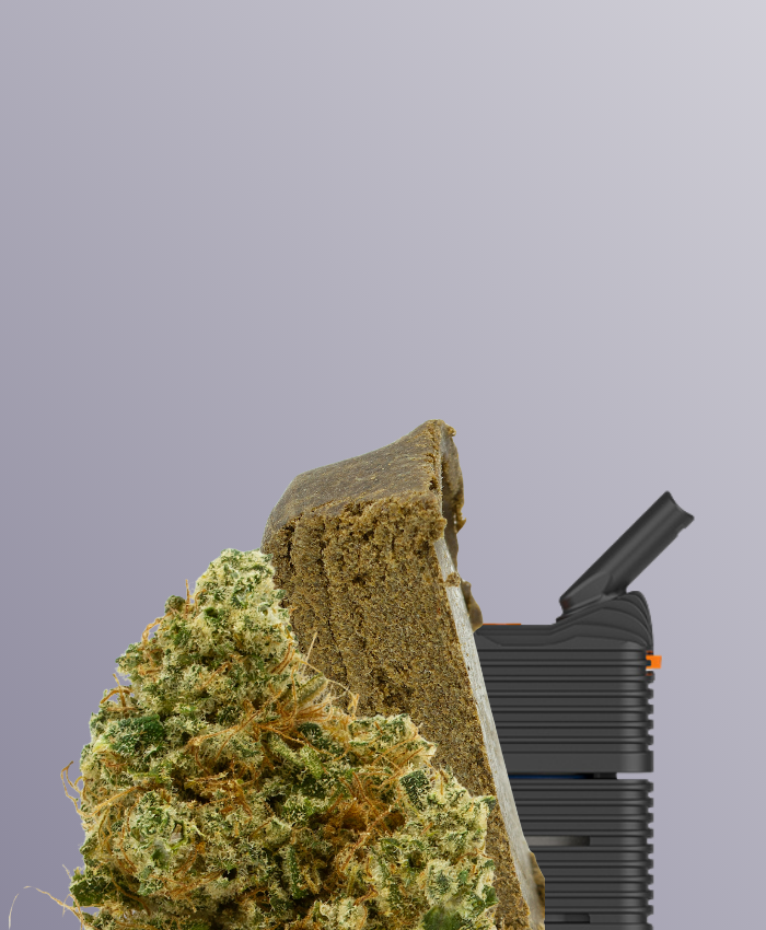 Picky Seeds