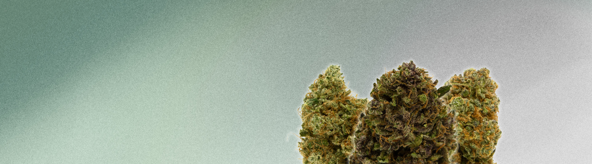 Picky Seeds