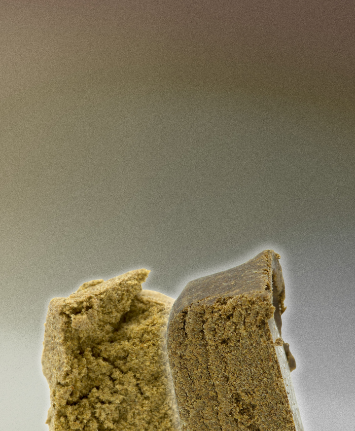 Picky Seeds
