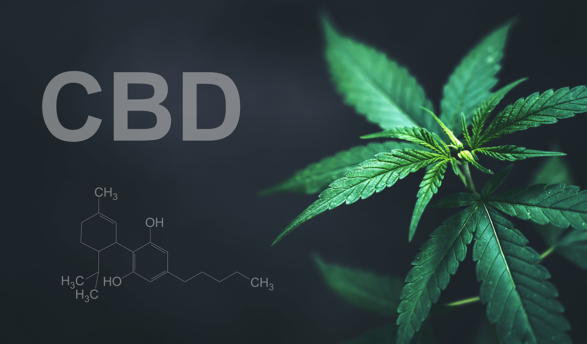 La Qualité du CBD : un Critère Essentiel à Comprendre