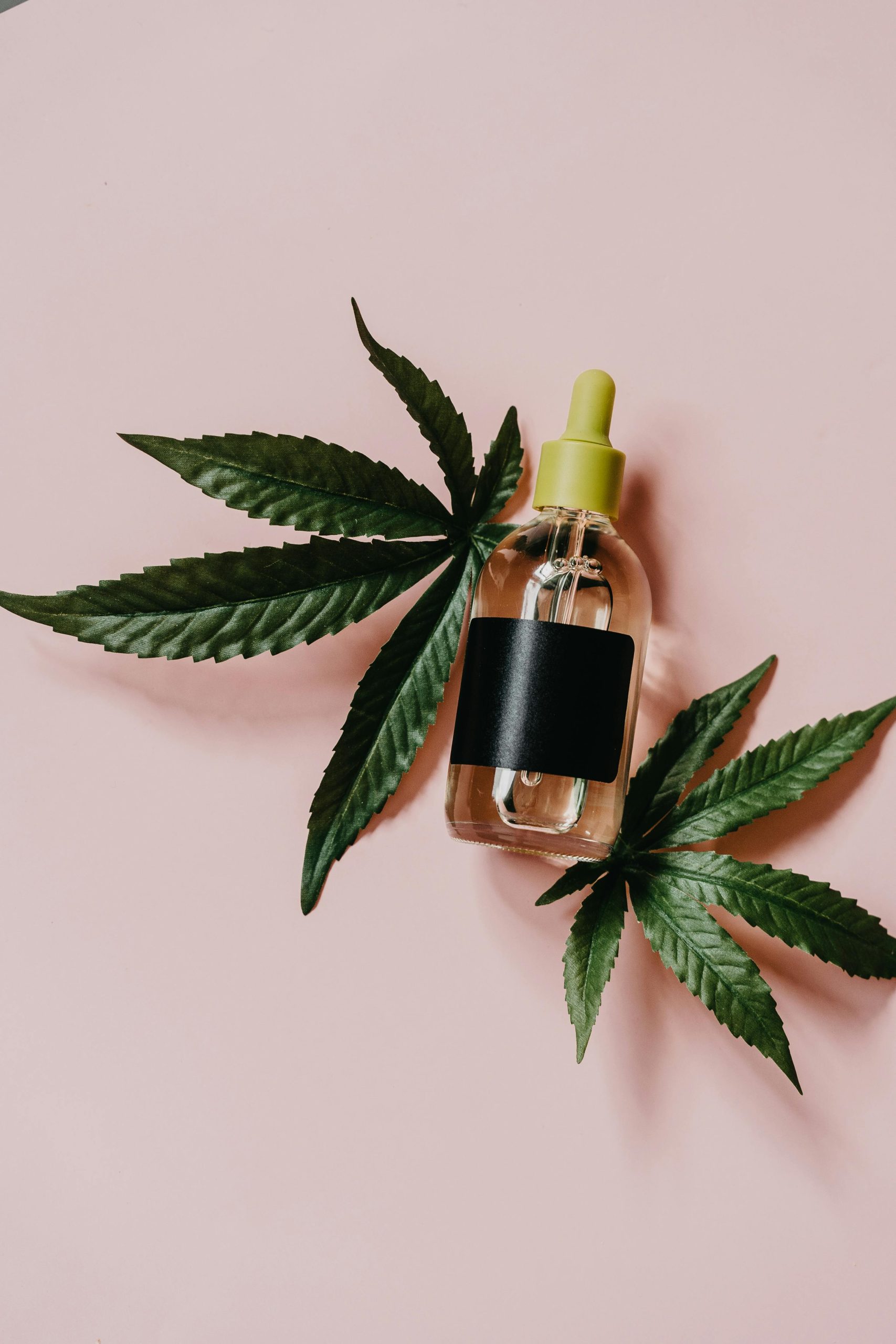 Découvrir les avantages du CBD au quotidien