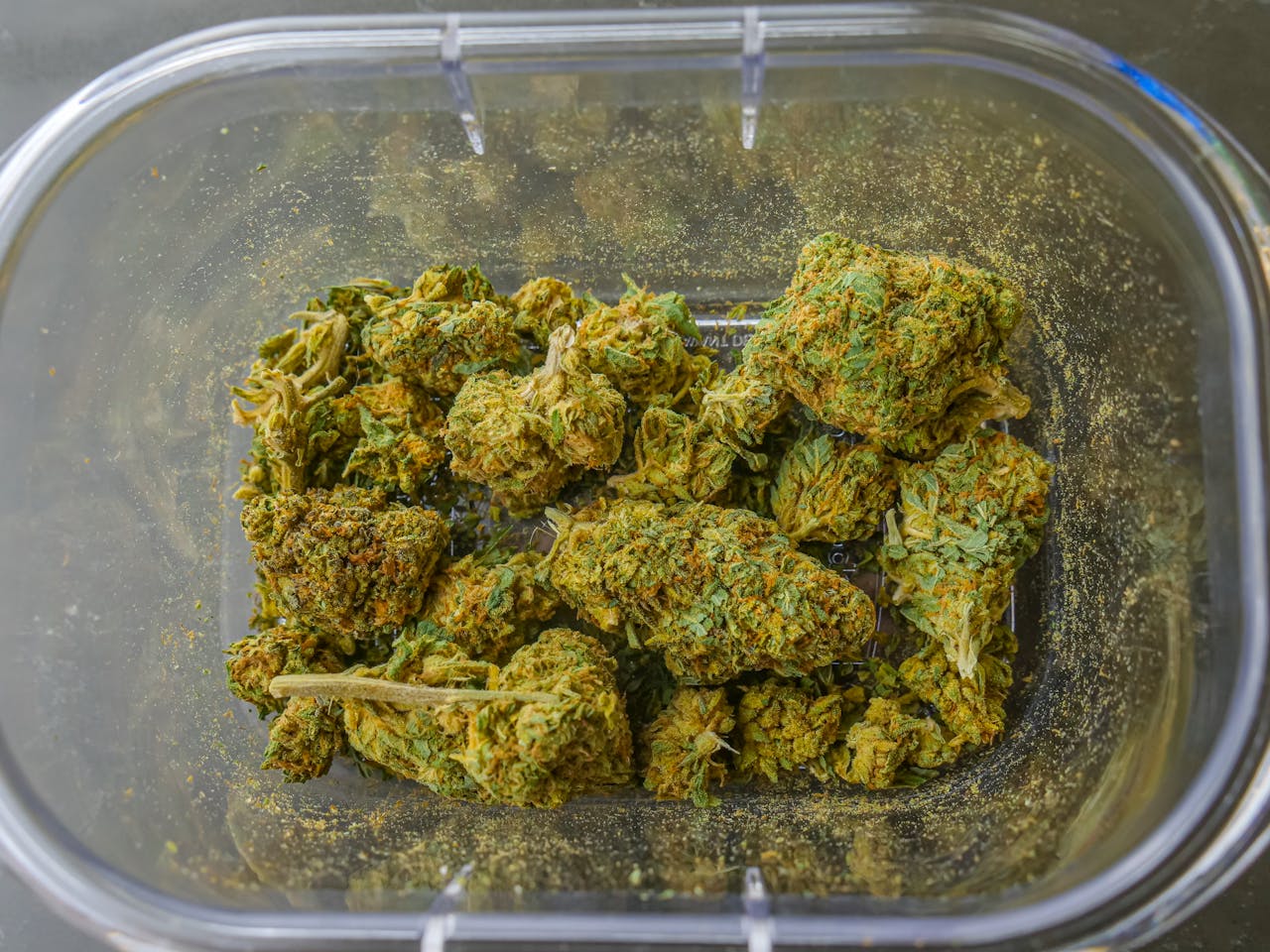 Picky Seeds